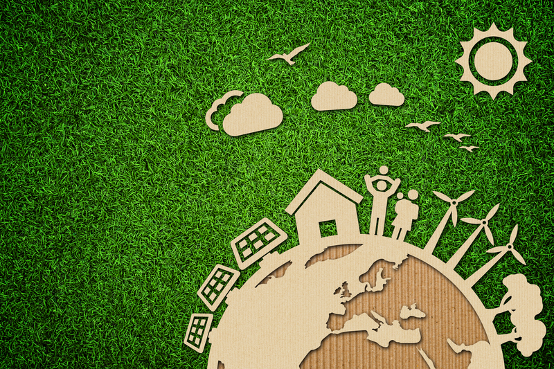 Expert Solutions for Hoarder Cleanup and Clutter Reduction